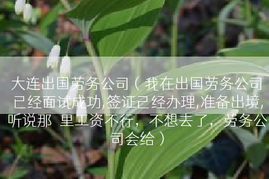 大连出国劳务公司（我在出国劳务公司已经面试成功,签证己经办理,准备出境,听说那�里工资不行，不想去了，劳务公司会给）