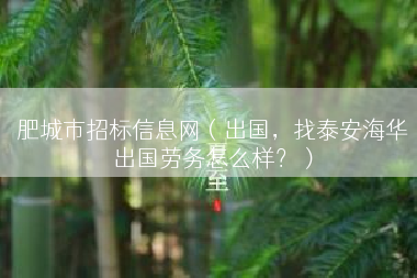 肥城市招标信息网（出国，找泰安海华出国劳务怎么样？）