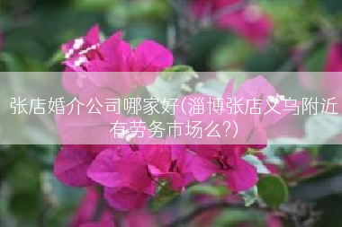 张店婚介公司哪家好(淄博张店义乌附近有劳务市场么?)