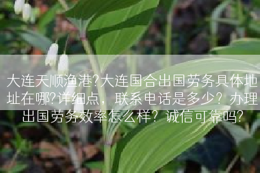 大连天顺渔港?大连国合出国劳务具体地址在哪?详细点，联系电话是多少？办理出国劳务效率怎么样？诚信可靠吗?