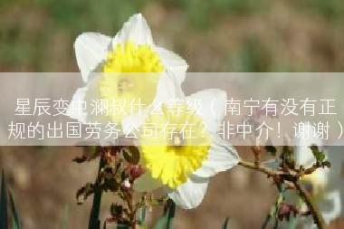 星辰变中澜叔什么等级（南宁有没有正规的出国劳务公司存在？非中介！谢谢）