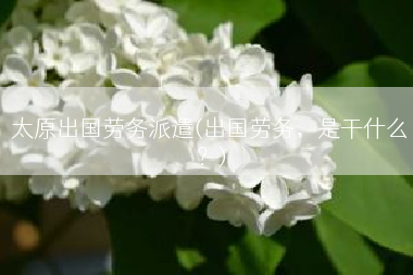 太原出国劳务派遣(出国劳务，是干什么？)