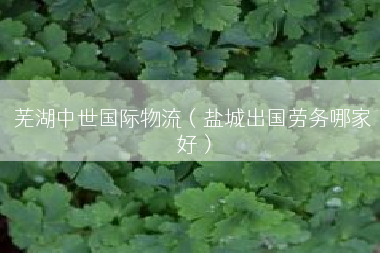 芜湖中世国际物流（盐城出国劳务哪家好）