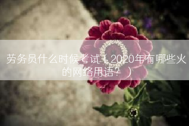 劳务员什么时候考试（2020年有哪些火的网络用语？）