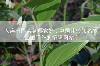 大连出国劳务哪家好（中国比较知名的出国工作的招聘网站）