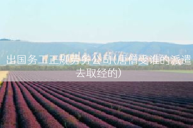 出国务工正规劳务公司(唐僧受谁的派遣去取经的)