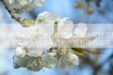 应聘吊车司机(我是四川人，想出国打工！我是工地上的塔吊司机，没有塔吊证可以去吗？)