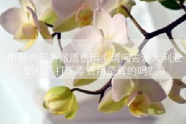 中智的劳务派遣费用（请问去澳大利亚铝材厂打工零费用是真的吗？）