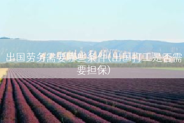 出国劳务需要哪些条件(出国打工是否需要担保)