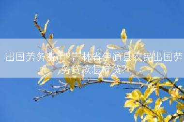 出国劳务费用?吉林省伊通县农民出国劳务贷款怎样贷?