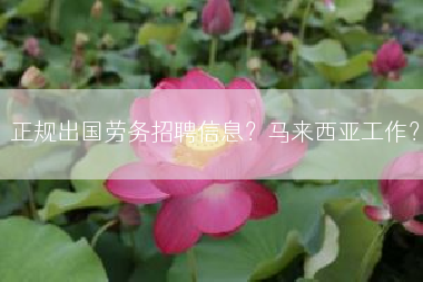 正规出国劳务招聘信息？马来西亚工作？