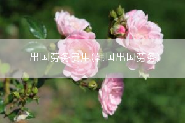 出国劳务费用(韩国出国劳务)