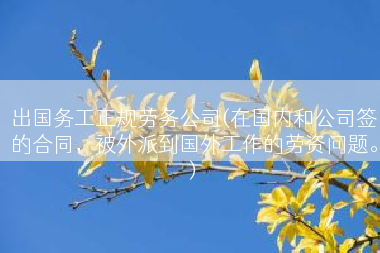 出国务工正规劳务公司(在国内和公司签的合同，被外派到国外工作的劳资问题。)
