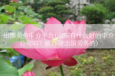 出国劳务中介平台(山东有什么好的中介公司吗？能办理出国劳务的)