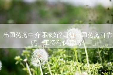出国劳务中介哪家好?司机出国劳务可靠吗！工资有保障吗?