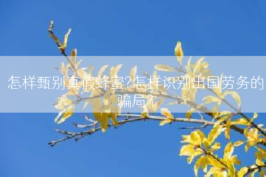 怎样甄别真假蜂蜜?怎样识别出国劳务的骗局?