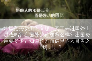 出国劳务费用？有那个瓦工去过国外上过班吗？在国外的待遇怎么样？出国费用要多少？知道这方面信息的大哥告之一二啊 、、？