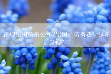 正规出国劳务公司?出国的劳务费用是多少钱?