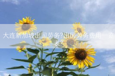 大连新加坡出国劳务?出国劳务费用一览表?