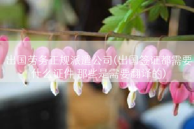 出国劳务正规派遣公司(出国签证都需要什么证件 那些是需要翻译的)