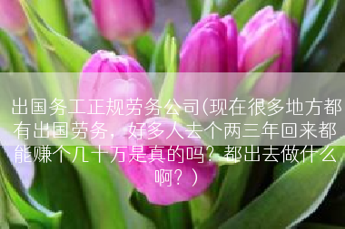 出国务工正规劳务公司(现在很多地方都有出国劳务，好多人去个两三年回来都能赚个几十万是真的吗？都出去做什么啊？)