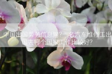 中国出国劳务信息网?一名汽车维修工出国去哪个国家工作比较好?