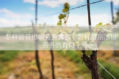 怎样验证出国劳务真假（怎样辨别出国劳务的真假）