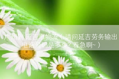 广州到 延吉市物流（请问延吉劳务输出电话号码是多少? 着急啊~）