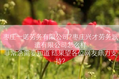 枣庄一诺劳务有限公司?枣庄兴才劳务派遣有限公司怎么样
非常急需要知道 结果望各位网友鼎力支持?