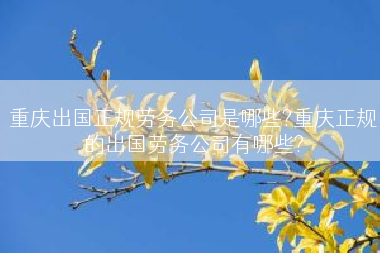 重庆出国正规劳务公司是哪些?重庆正规的出国劳务公司有哪些?