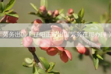 劳务出国（辽阳正规出国劳务在那办理）