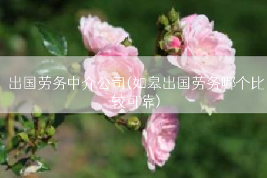 出国劳务中介公司(如皋出国劳务哪个比较可靠)
