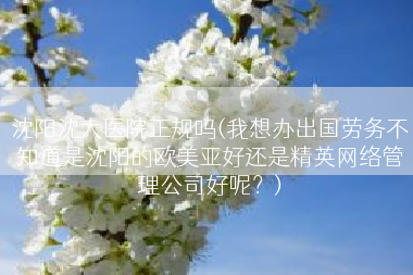 沈阳沈大医院正规吗(我想办出国劳务不知道是沈阳的欧美亚好还是精英网络管理公司好呢？)