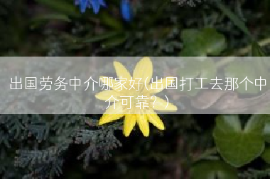 出国劳务中介哪家好(出国打工去那个中介可靠？)