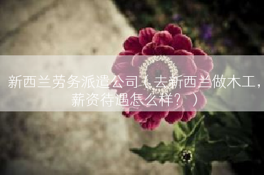 新西兰劳务派遣公司（去新西兰做木工，薪资待遇怎么样？）