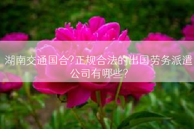 湖南交通国合?正规合法的出国劳务派遣公司有哪些?