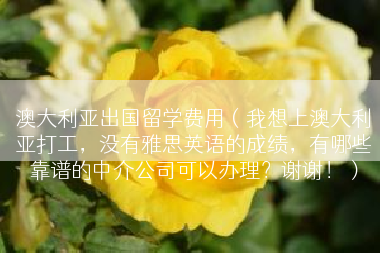 澳大利亚出国留学费用（我想上澳大利亚打工，没有雅思英语的成绩，有哪些靠谱的中介公司可以办理？谢谢！）