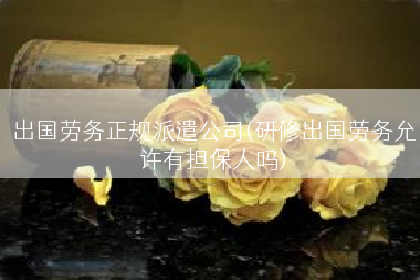 出国劳务正规派遣公司(研修出国劳务允许有担保人吗)
