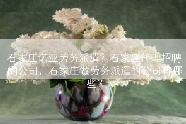 石家庄诺亚劳务派遣？石家庄代理招聘的公司，石家庄做劳务派遣的公司有哪些？