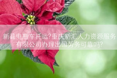 新县电瓶车托运?重庆新汇人力资源服务有限公司办理出国劳务可靠吗?