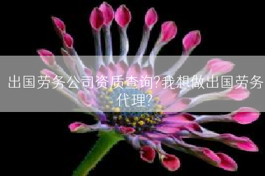 出国劳务公司资质查询?我想做出国劳务代理?