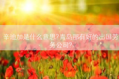 辛迪加是什么意思?青岛那有好的出国劳务公司?