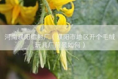 河南濮阳镭射厂（濮阳市地区开个毛绒玩具厂前景如何）