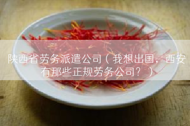 陕西省劳务派遣公司（我想出国，西安有那些正规劳务公司？）