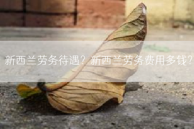 新西兰劳务待遇？新西兰劳务费用多钱？