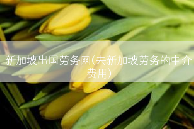 新加坡出国劳务网(去新加坡劳务的中介费用)