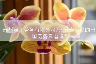 泰州鑫正劳务有限公司?江苏泰兴博昀出国劳务靠谱吗?