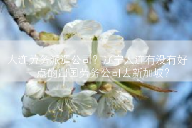 大连劳务派遣公司？辽宁大连有没有好一点的出国劳务公司去新加坡？