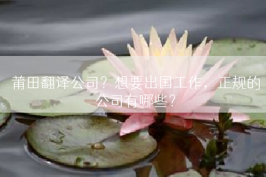 莆田翻译公司？想要出国工作，正规的公司有哪些？