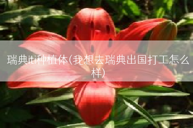 瑞典iti种植体(我想去瑞典出国打工怎么样)